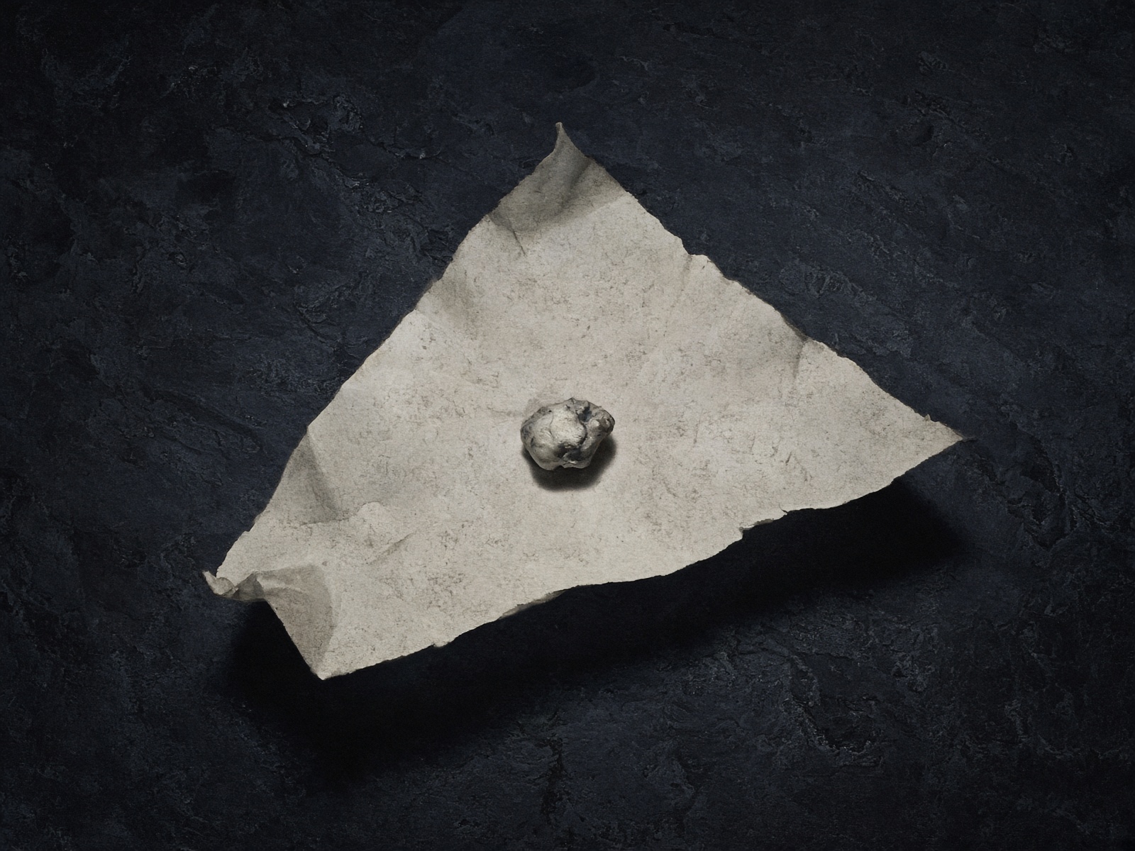 A pale ambiguous object on a bone-colored paper plane in a dark mineral room.